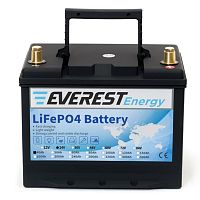 Литиевая батарея Everest Energy LFP-24V40А