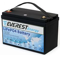 Литиевая батарея Everest Energy LFP-24V300А