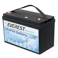 Литиевая батарея Everest Energy LFP-24V60А