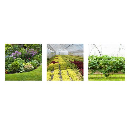 картинка Насос мембранно-поршневой Comet P36/15 (32,4 л/мин; 15 бар) фото 4 картинка Насос мембранно-поршневой Comet P36/15 (32,4 л/мин; 15 бар) фото 4