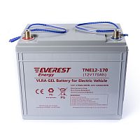 Гелевая батарея Everest Energy TNE 12-170