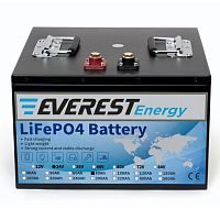 Литиевая батарея Everest Energy LFP-24V80А