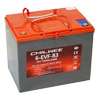 Гелевая батарея Chilwee 6-EVF-83 BG