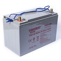 Гелевая батарея Everest Energy TNE 12-125