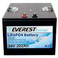 Литиевая батарея Everest Energy LFP-24V202А