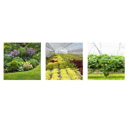 картинка Насос мембранно-поршневой Comet серия МР30 (29,2 л/мин; 30 бар) с эл. двигателем MEC100 (220В) фото 4 картинка Насос мембранно-поршневой Comet серия МР30 (29,2 л/мин; 30 бар) с эл. двигателем MEC100 (220В) фото 4